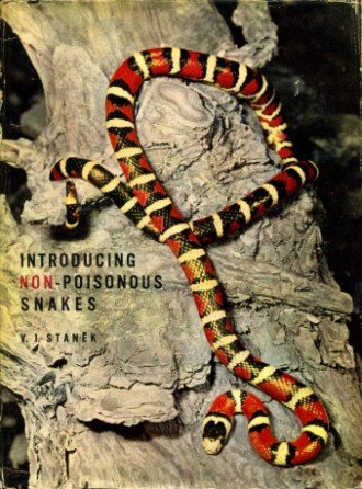 Introducing Non-Poisonous Snakes | Immagine principale