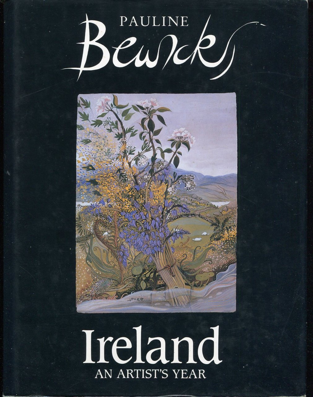 Ireland : An Artist's Year | Immagine principale