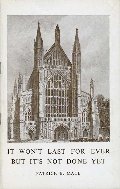 It Won't Last for Ever But It's Not Done Yet | Immagine Gallery 2