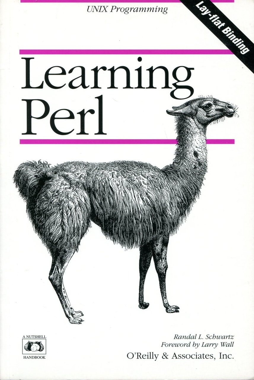 Learning Perl | Immagine principale