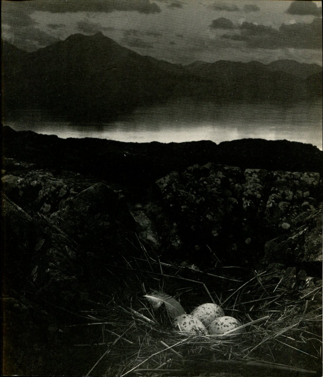 Literary Britain :Bill Brandt | Immagine principale