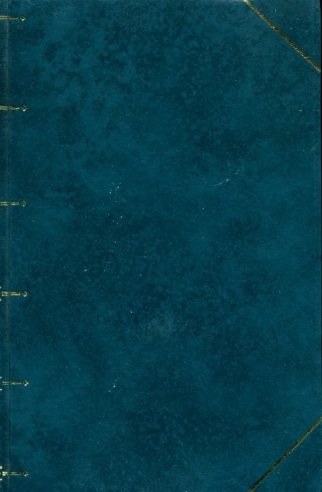 Mandarin-Gold | Immagine Gallery 2