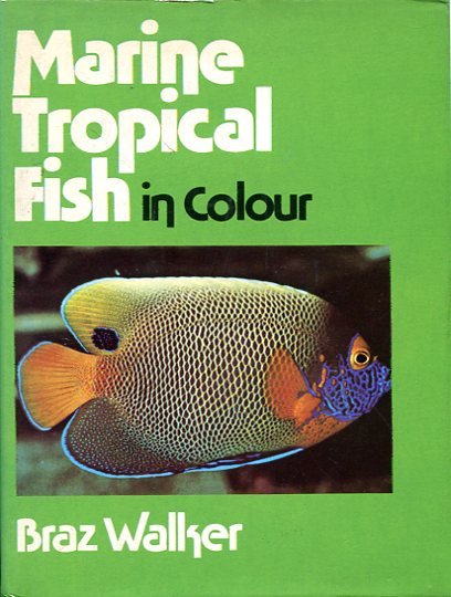 Marine Tropical Fish in Colour | Immagine Gallery 2