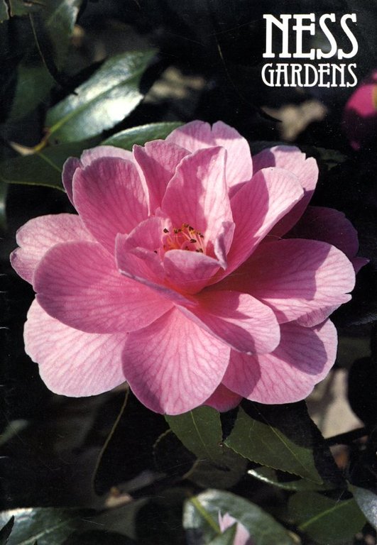 Ness Gardens : History and Guide | Immagine Gallery 2