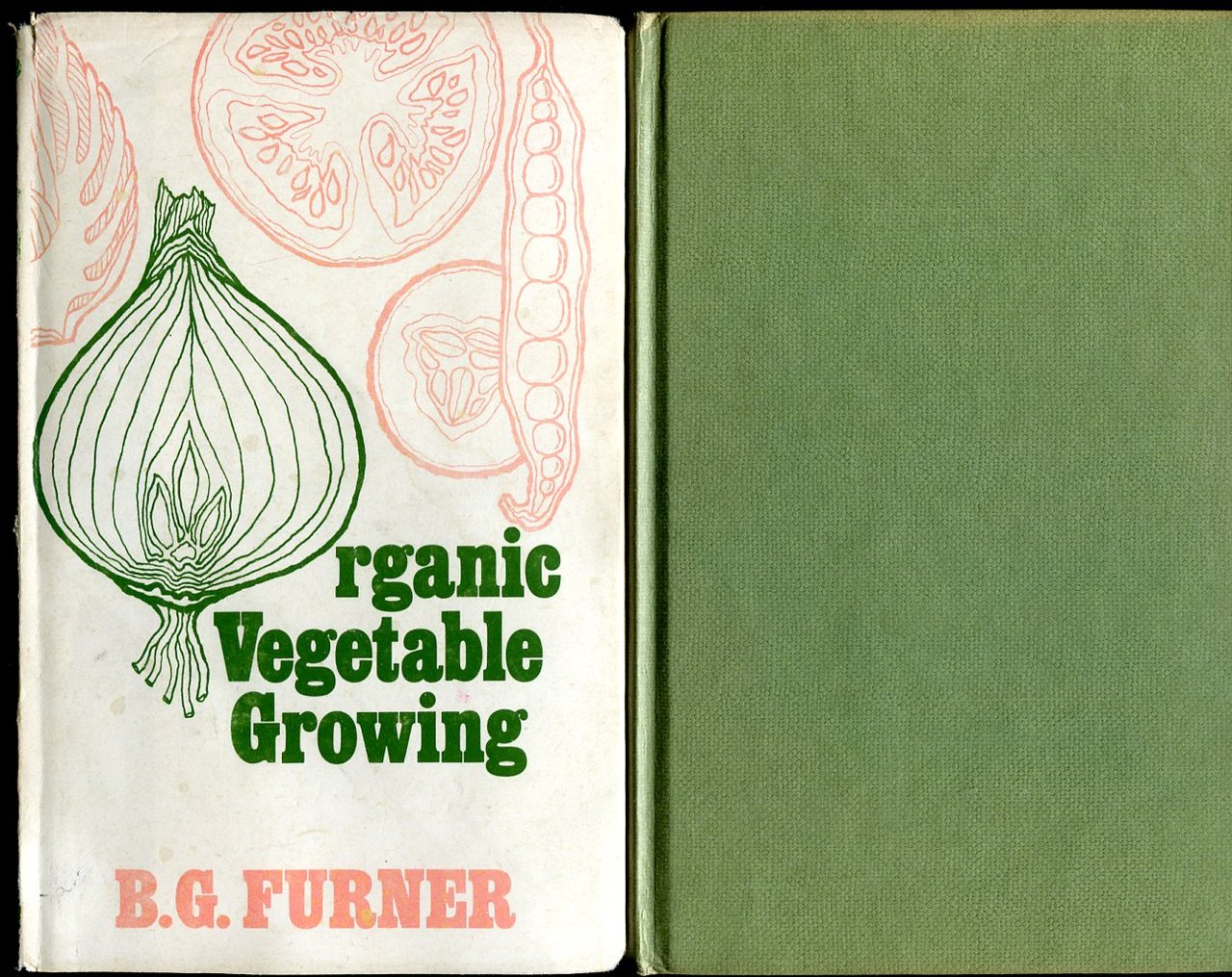 Organic Vegetable Growing | Immagine principale