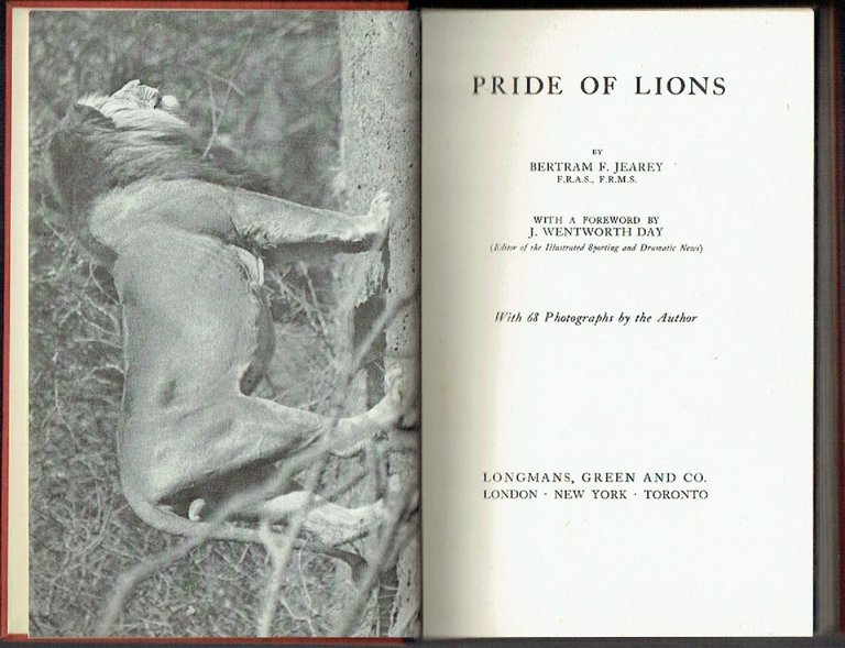 Pride of Lions ; with 68 photographs by the Author | Immagine Gallery 2