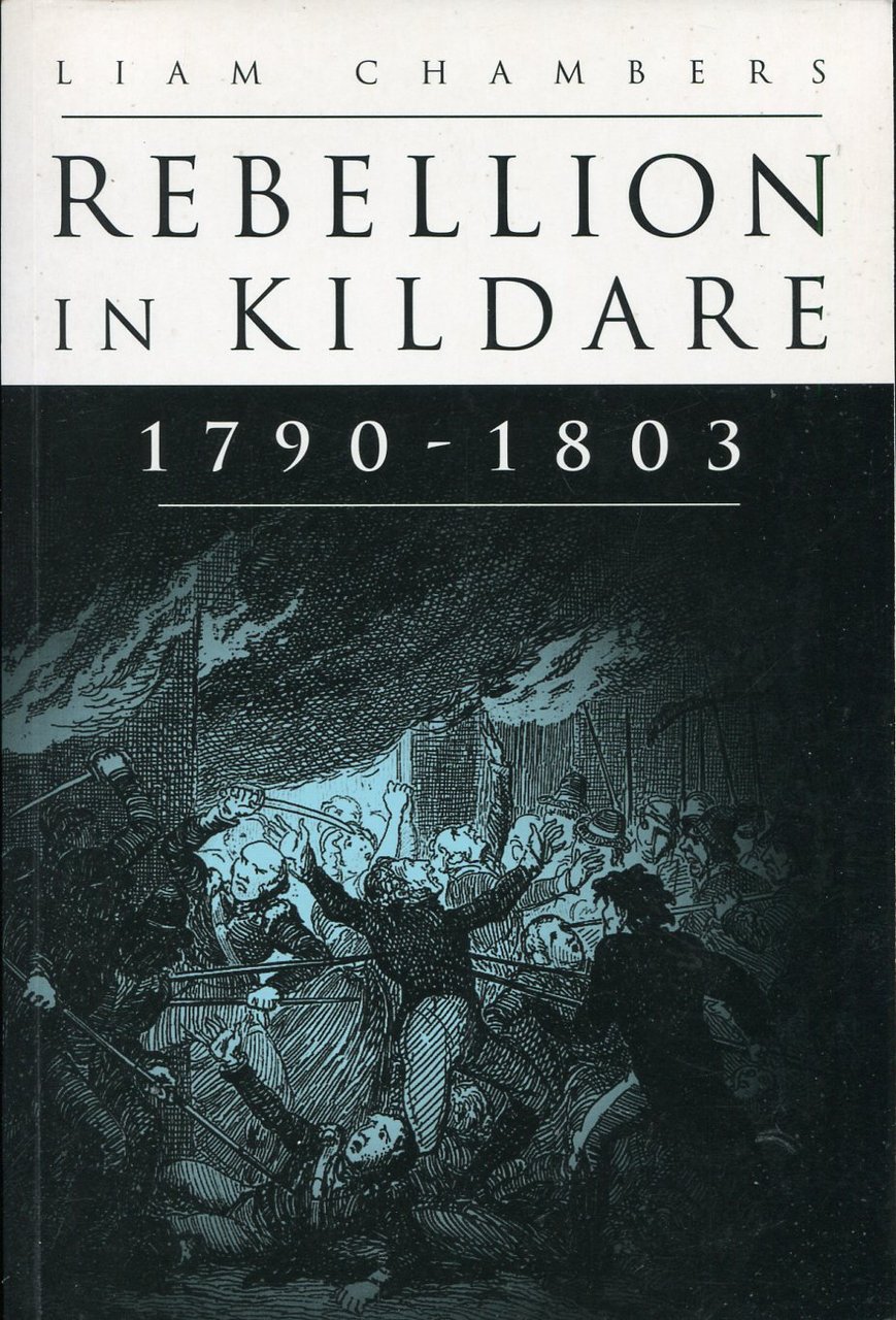 Rebellion in Kildare 1790-1803 | Immagine principale