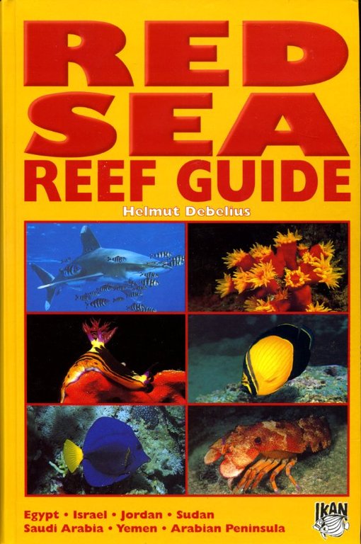 Red Sea Reef Guide | Immagine Gallery 2