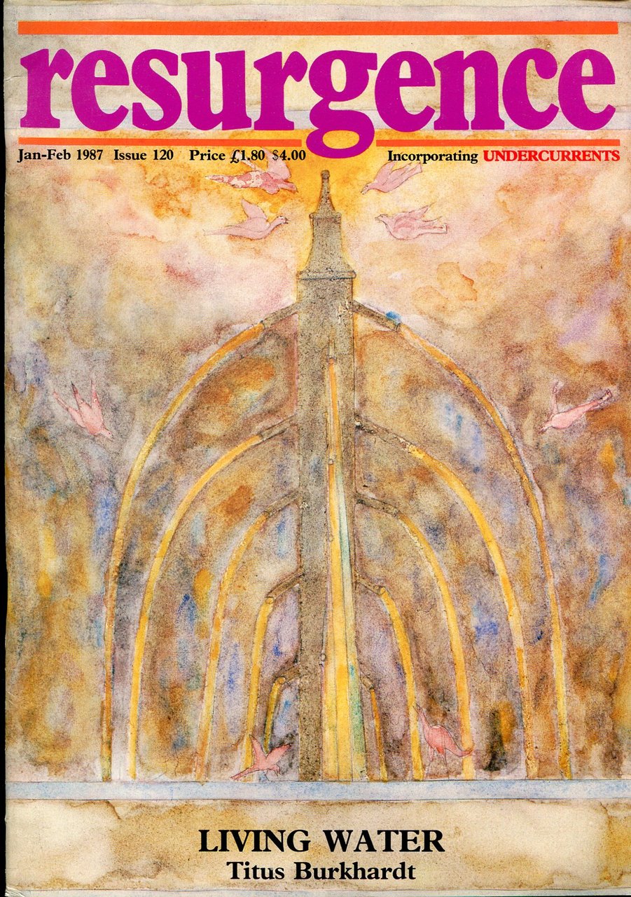 Resurgence : Incorporating Undercurrents Magazine No 120 Jan-Feb 1987 | Immagine principale
