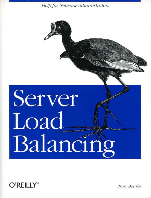 Server Load Balancing | Immagine Gallery 2