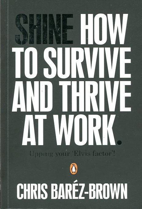 Shine : How to Survive and Thrive at Work | Immagine Gallery 2