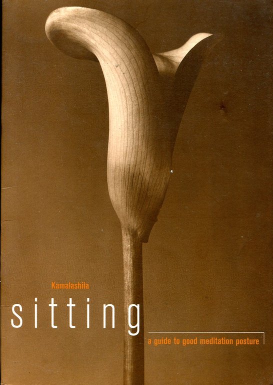 Sitting : A Guide to Good Meditation Posture | Immagine Gallery 2