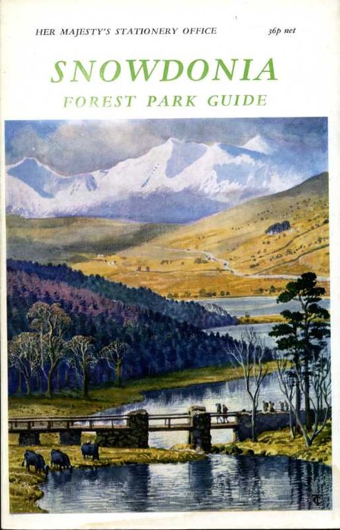 Snowdonia : Forest Park Guide | Immagine Gallery 2