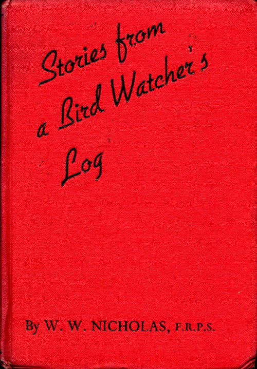 Stories from a Bird Watcher's Log | Immagine Gallery 2