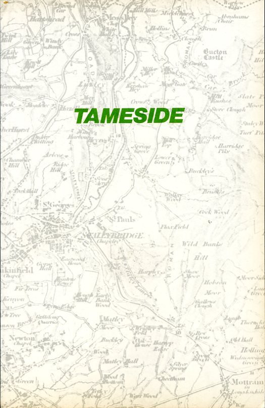 Tameside : An Outline History of Those Parts of Lancashire … | Immagine principale
