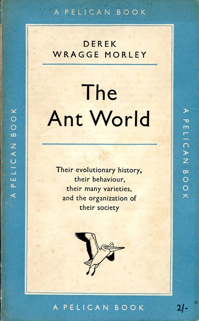 The Ant World | Immagine principale