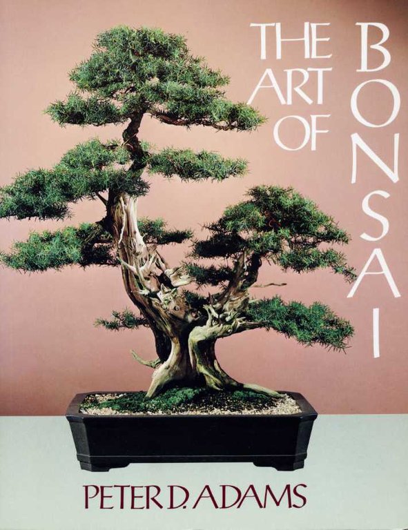 The Art of Bonsai | Immagine Gallery 2