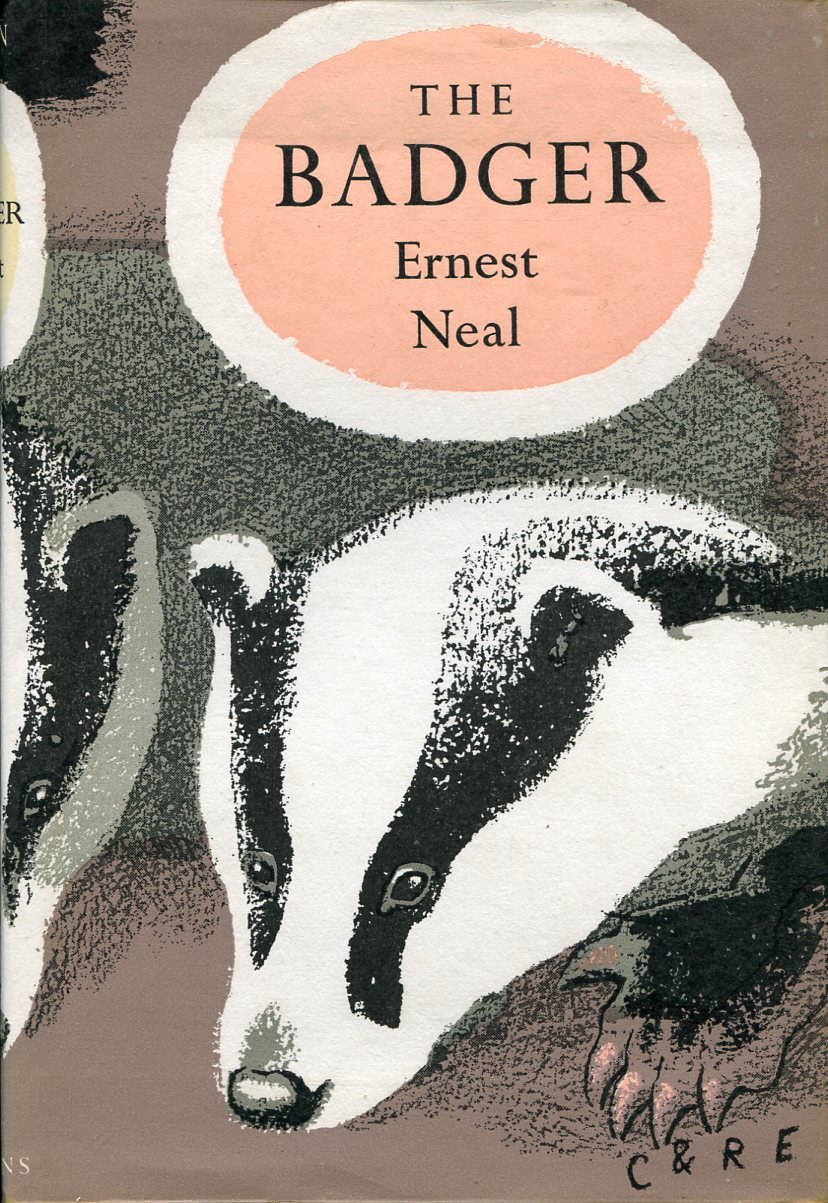 The Badger (NN Monograph) | Immagine principale