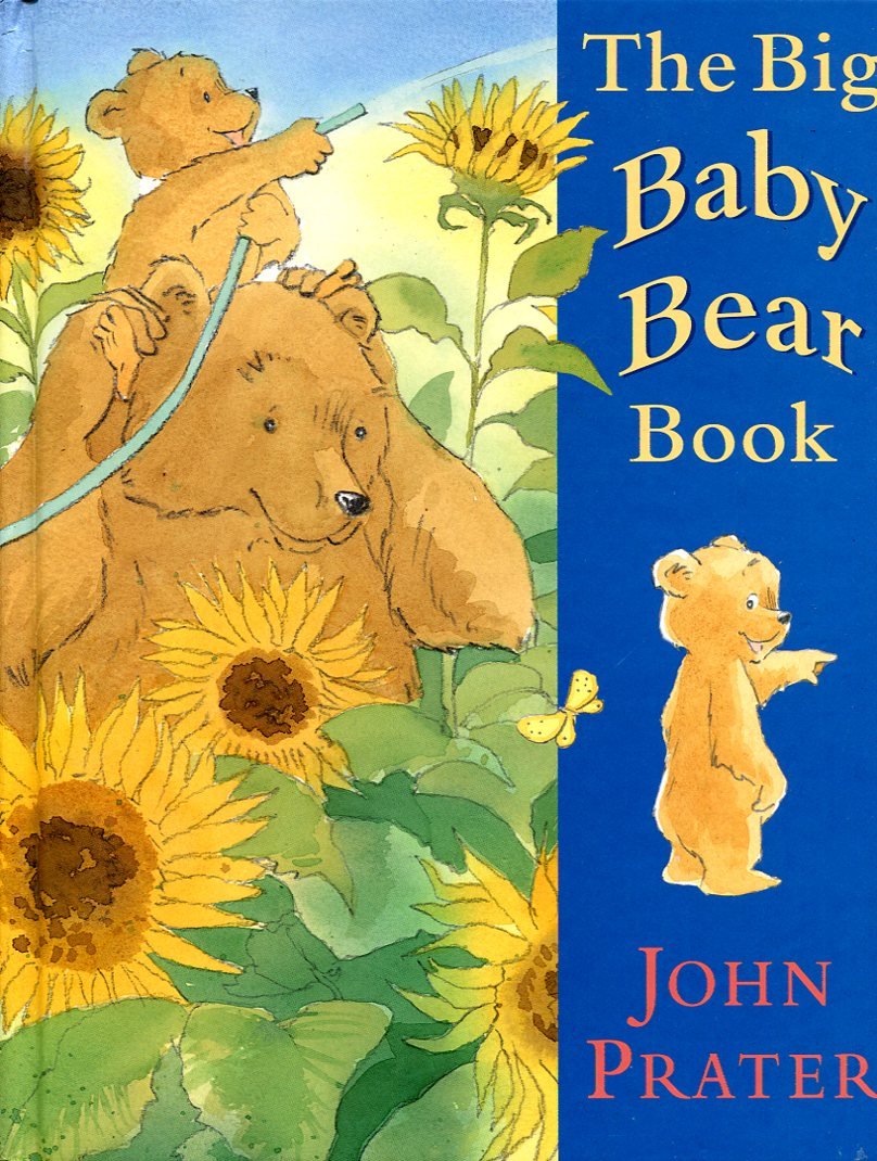 The Big Baby Bear Book | Immagine principale