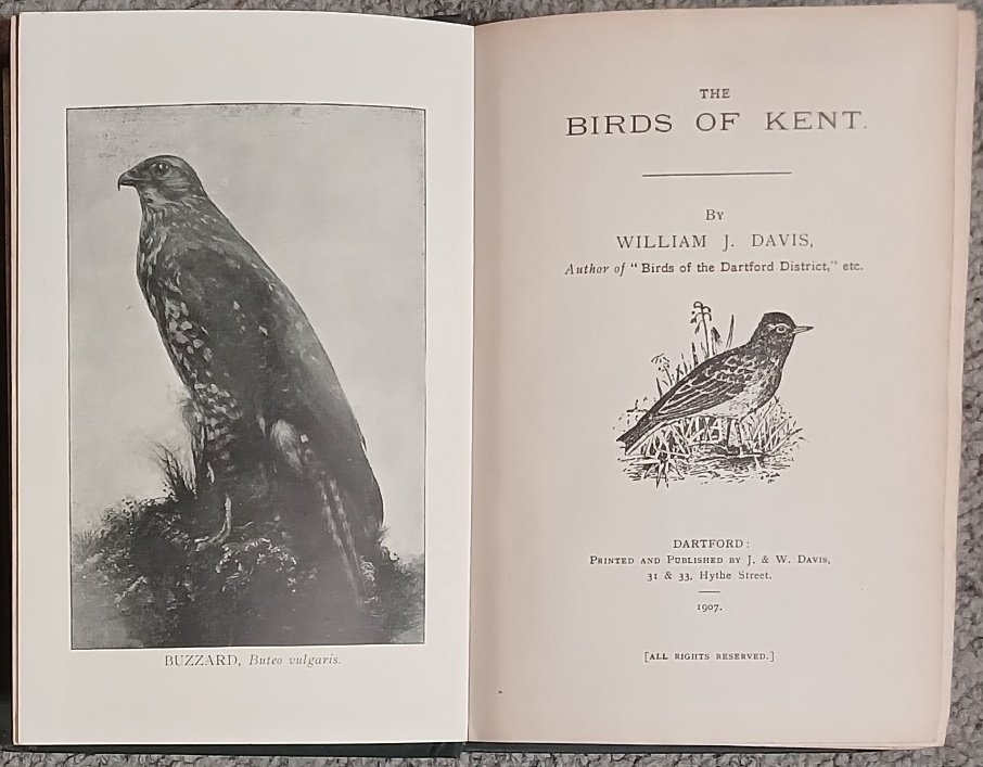 The Birds of Kent | Immagine principale