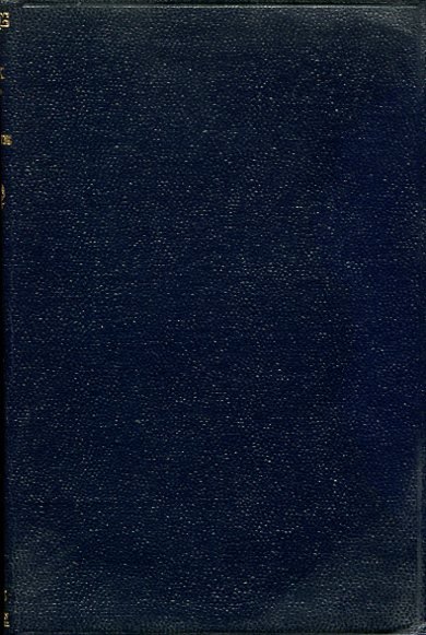 The Black Tulip | Immagine Gallery 2