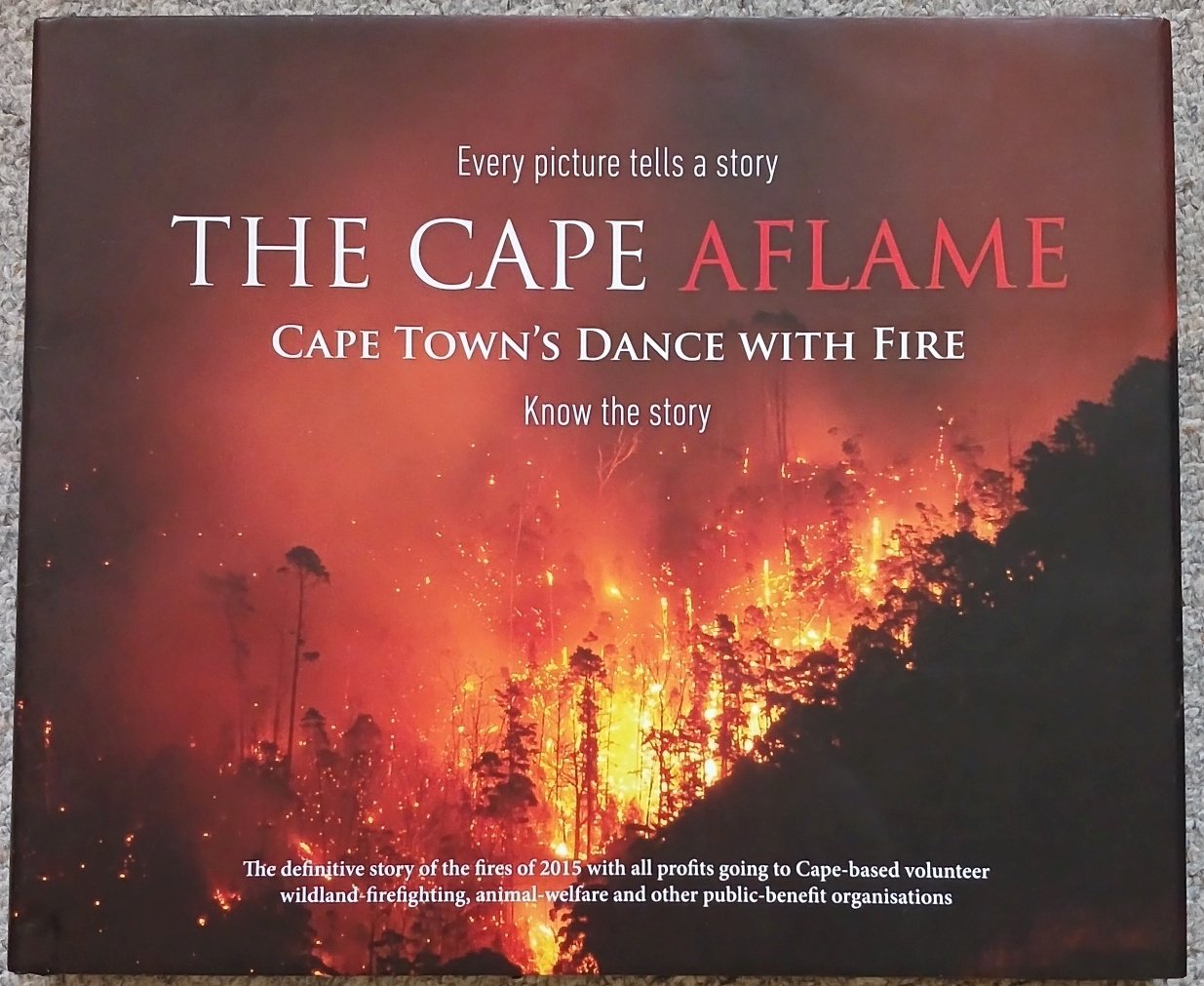 The Cape Aflame : Cape Town's Dance with Fire | Immagine principale