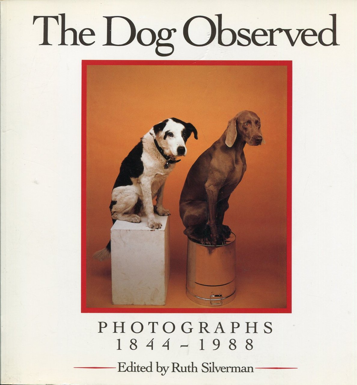 The Dog Observed : Photographs 1844-1988 | Immagine principale