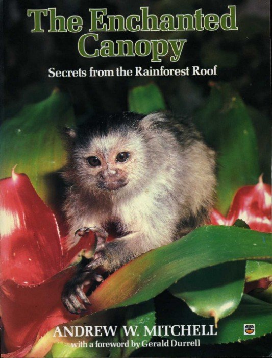 The Enchanted Canopy : Secrets from the Rainforest Roof | Immagine Gallery 2