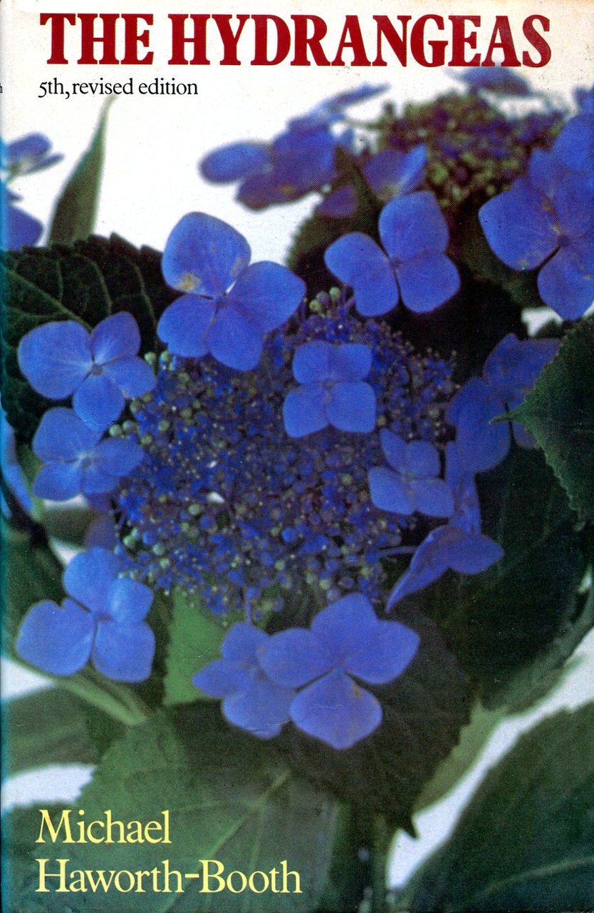 The Hydrangeas | Immagine principale