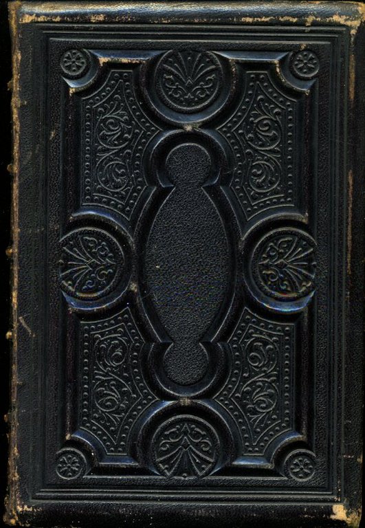 The Pilgrim Fathers; or, Founders of New England in the … | Immagine Gallery 2