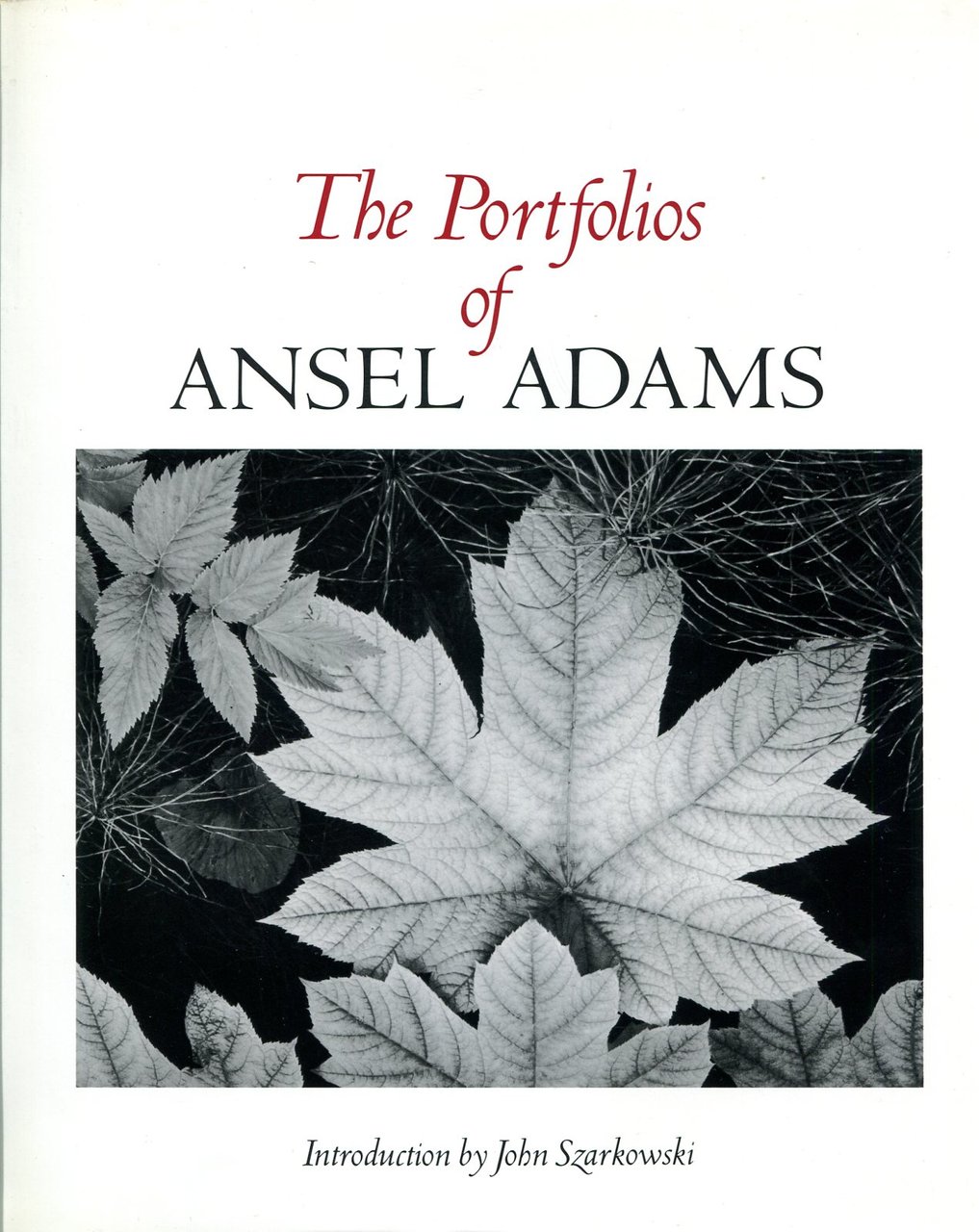 The Portfolios of Ansel Adams | Immagine principale
