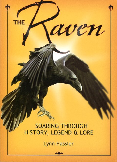 The Raven: Soaring Through History, Legend & Lore | Immagine principale
