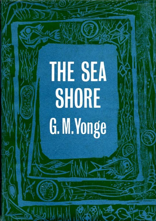 The Sea Shore (NN No 12) | Immagine Gallery 2