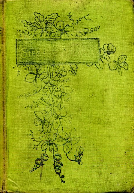 The Siege of Vienna | Immagine Gallery 2