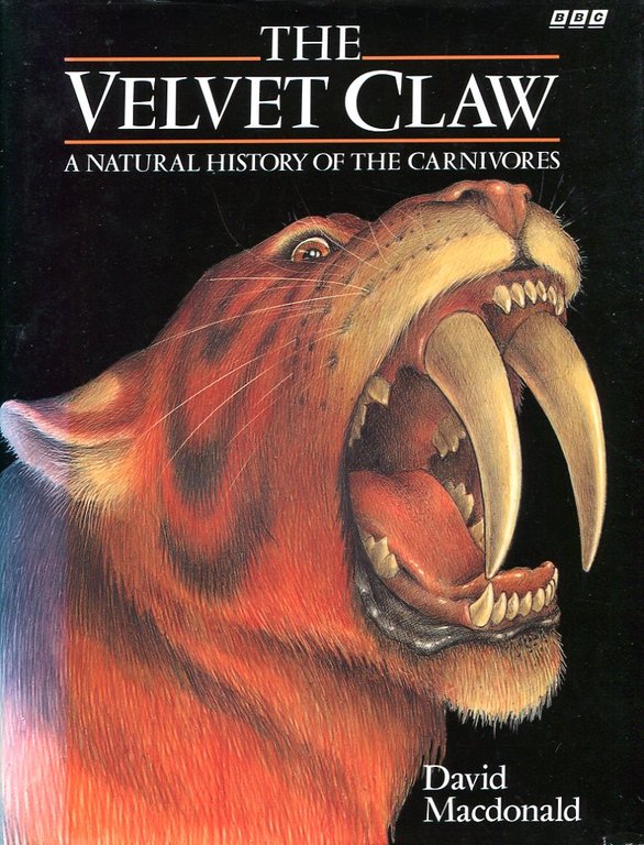 The Velvet Claw: A Natural History of the Carnivores | Immagine Gallery 2