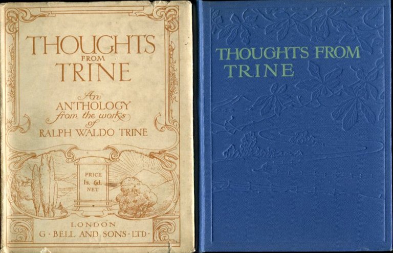 Thoughts from Trine | Immagine Gallery 2