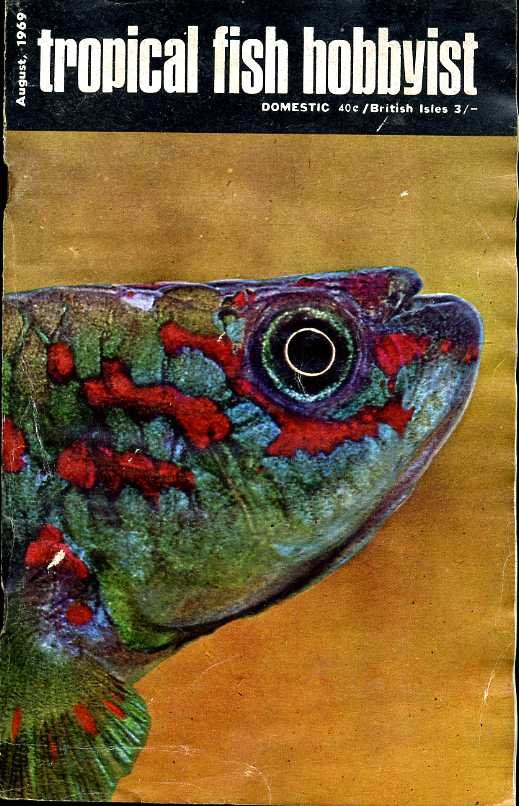Tropical Fish Hobbyist - August 1969 | Immagine principale