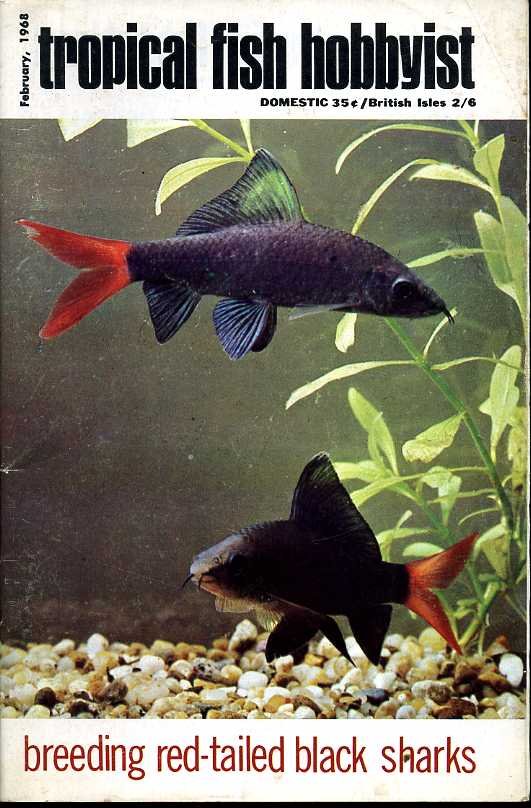 Tropical Fish Hobbyist - February 1968 | Immagine principale