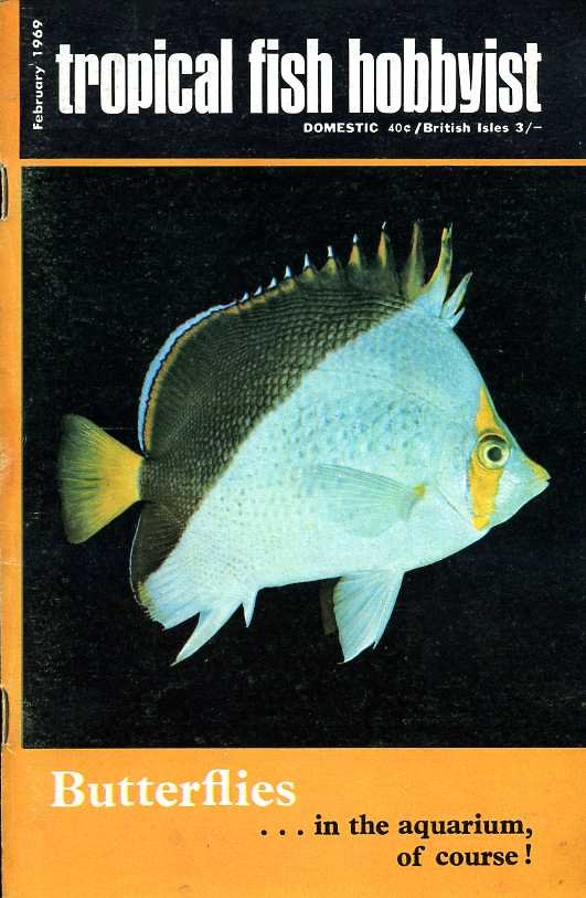 Tropical Fish Hobbyist - February 1969 | Immagine principale