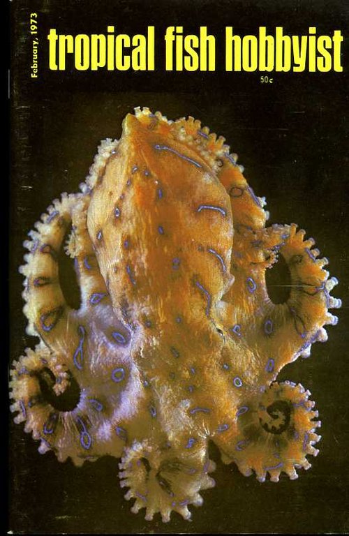 Tropical Fish Hobbyist - February 1973 | Immagine Gallery 2