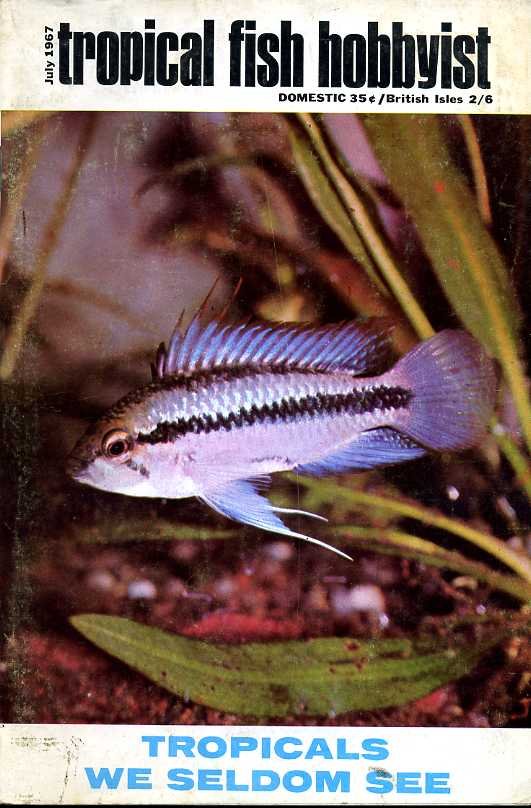 Tropical Fish Hobbyist - July 1967 | Immagine principale