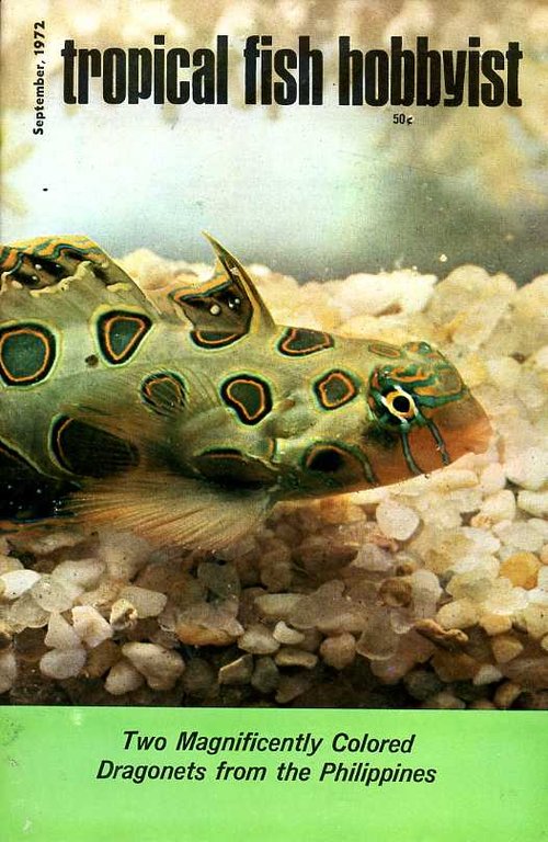 Tropical Fish Hobbyist - September 1972 | Immagine Gallery 2