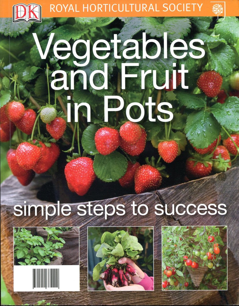 Vegetables and Fruit in Pots | Immagine principale