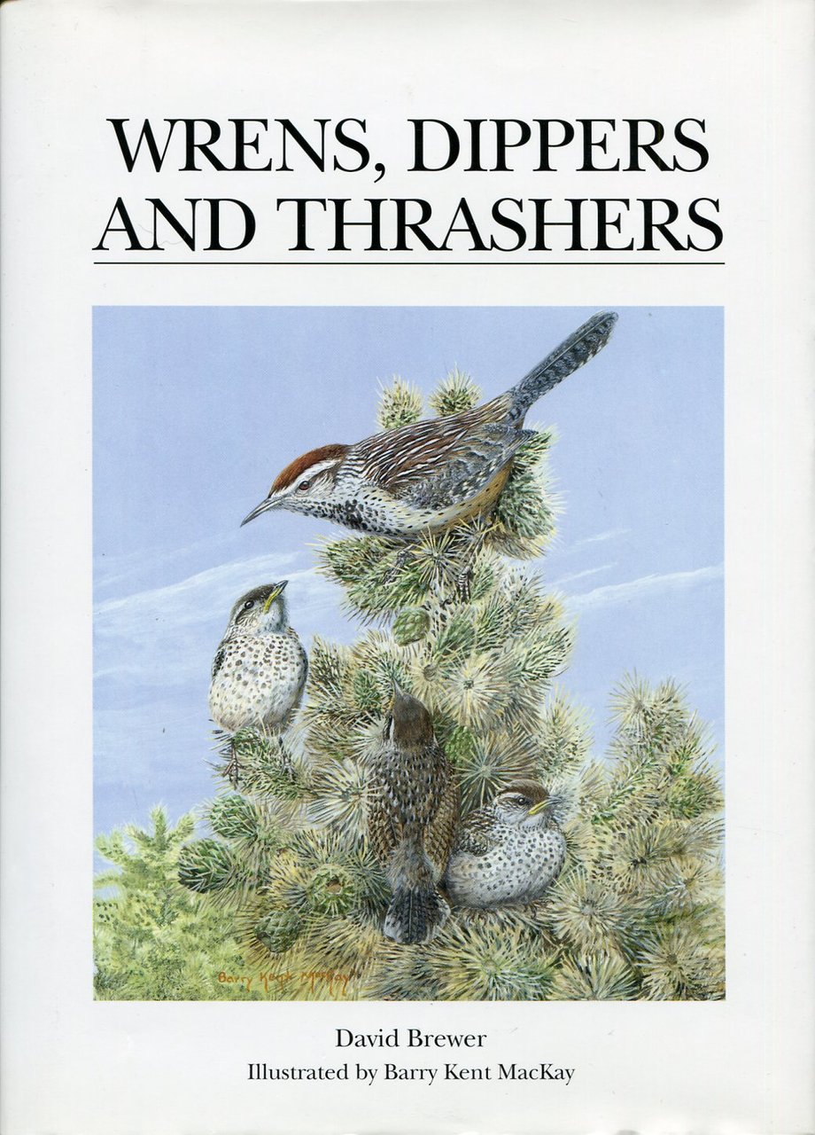 Wrens, Dippers and Thrashers | Immagine principale