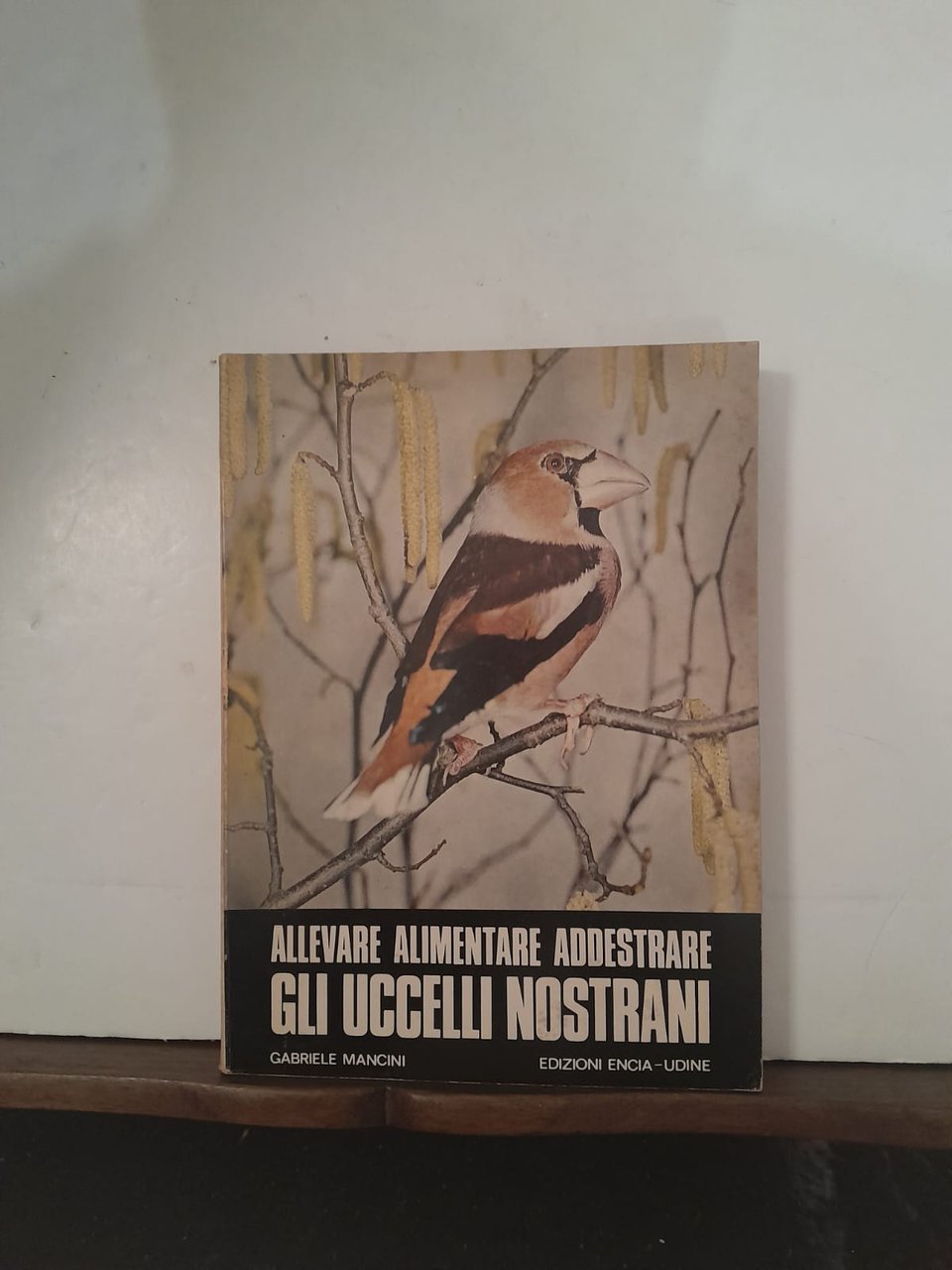 Allevare alimentare addestrare Gli Uccelli nostrani