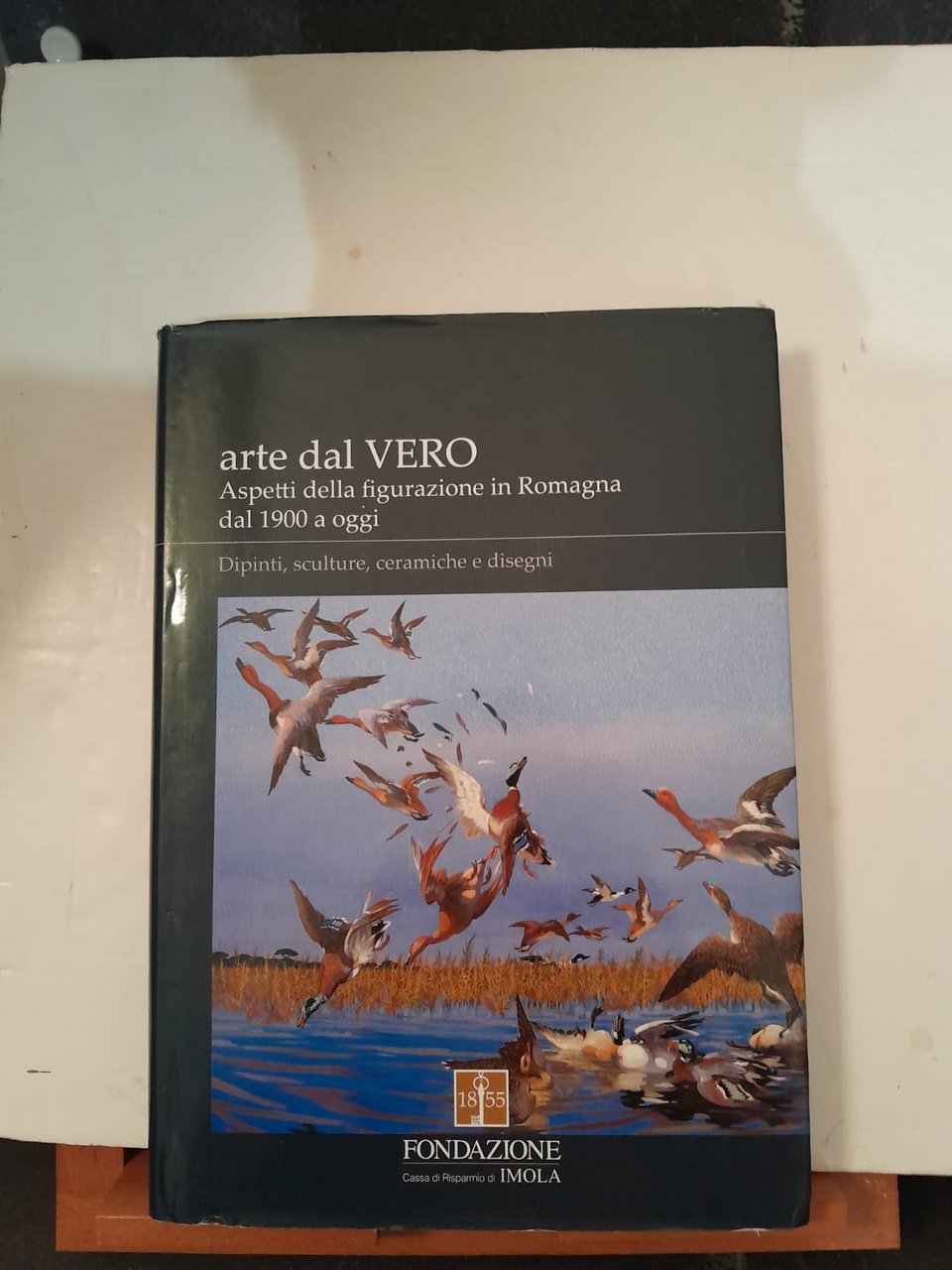 Arte dal Vero Aspetti della figurazione in Romagna dal 1900 …