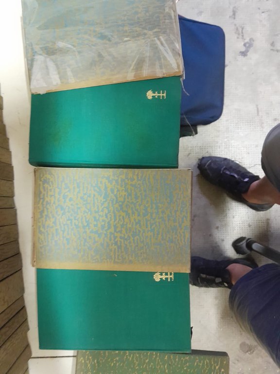 Biblioteca Romantica