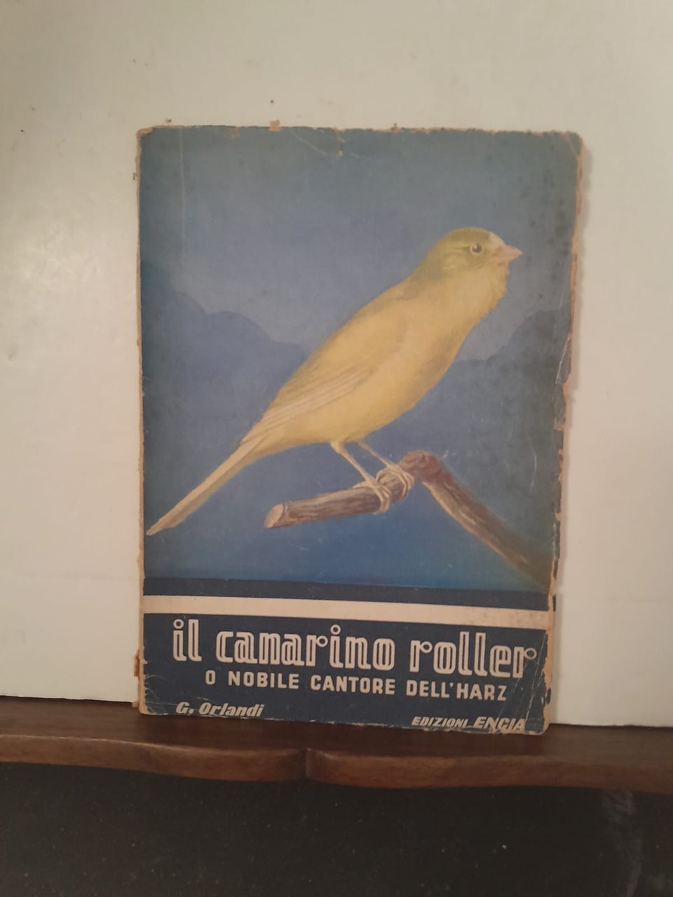 Il canarino Roller o Nobile Cantore dell'Harz