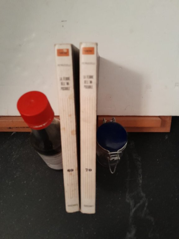 La febbre dell'impossibile