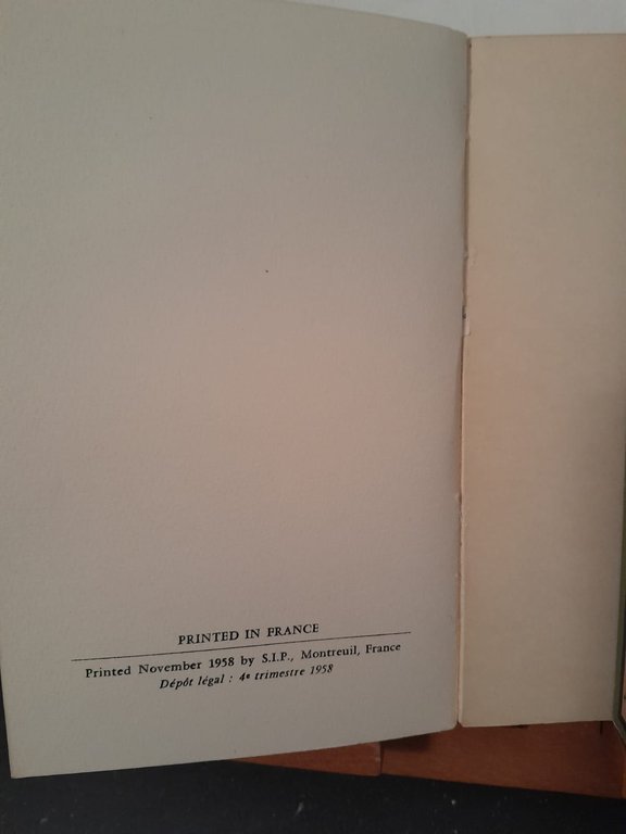 Lolita | Immagine Gallery 2